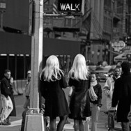 François Lepage photographe