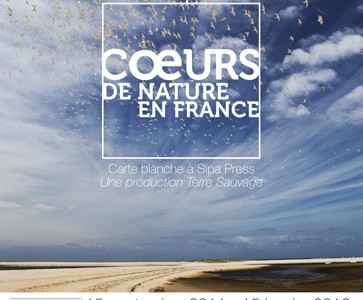 Affiche Coeurs de Nature CP