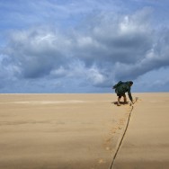 BASSIN D'ARCACHON : Reserve naturelle du Banc d'arguin
